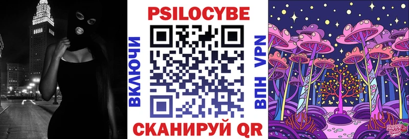 Псилоцибиновые грибы Psilocybe  Углегорск 